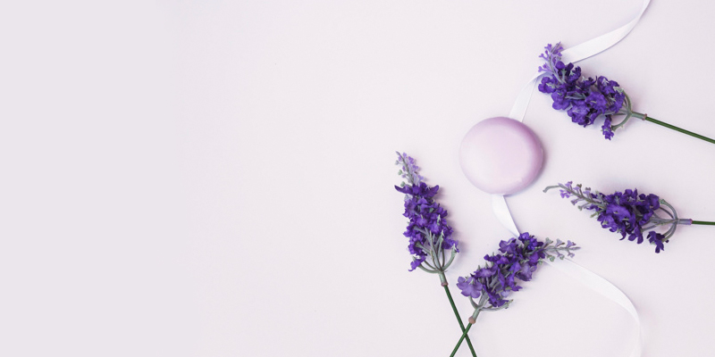 اولین عصاره‌های گیاهی : عصاره استخدوس Lavender